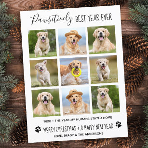Pawsitief beste jaar voor honden Foto Collage H Briefkaart