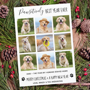 Pawsitief beste jaar voor honden Foto Collage H Feestdagenkaart