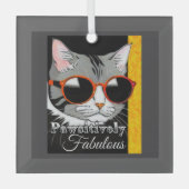 Pawsitief fantastische kat glas ornament (Voorkant)