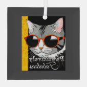 Pawsitief fantastische kat glas ornament (Achterkant)