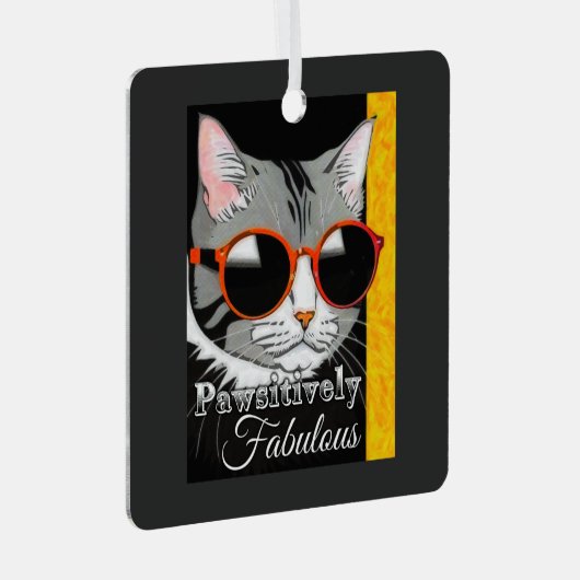 Pawsitief fantastische kat metalen ornament (Voorkant Rechts)