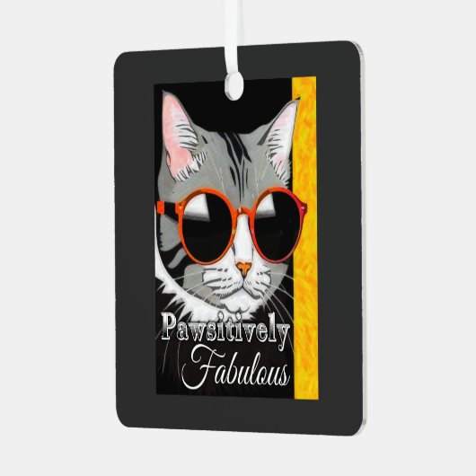 Pawsitief fantastische kat metalen ornament (Voorkant links)