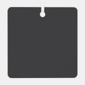 Pawsitief fantastische kat metalen ornament (Achterkant)