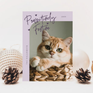 Pawsitief feestelijke kattenfoto Paarse kerst Feestdagenkaart