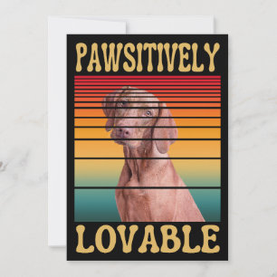 PAWSITIEF LOVABEL FEESTDAGENKAART