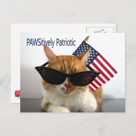 PAWSitief Patriotic Cat Briefkaart (Voorkant / Achterkant)