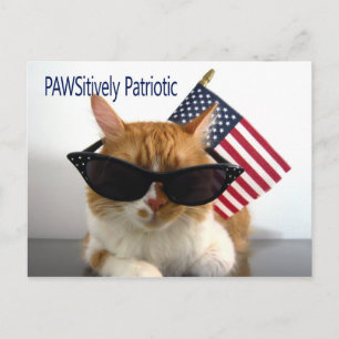 PAWSitief Patriotic Cat Briefkaart