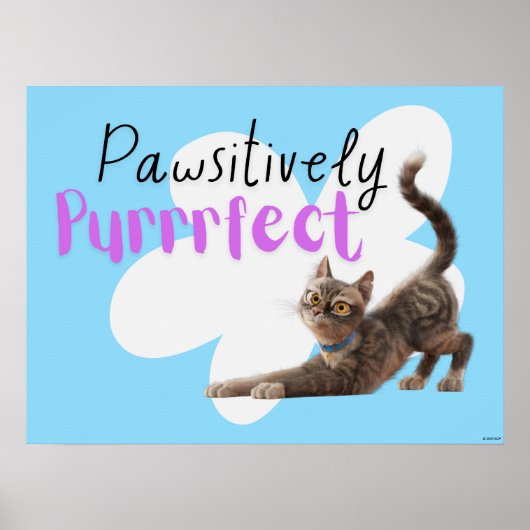 pawsitief purfect poster (Voorkant)