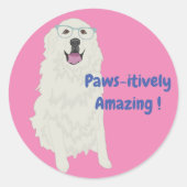 Pawsitive Amazing Education Sticker (Voorkant)