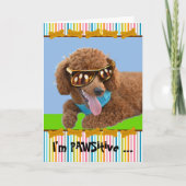 Pawsitive Birthday Red Poodle in Shades Kaart (Voorkant)