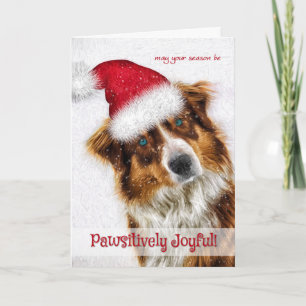 Pawsitive Joyful Australian Shepherd Santa Feestdagen Kaart