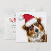Pawsitive Joyous Australian Shepherd Santa Dog Feestdagenkaart (Voorkant / Achterkant)