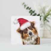 Pawsitive Joyous Australian Shepherd Santa Dog Feestdagenkaart (Staand voorkant)