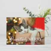 Pawsitive Merry Custom Pet Cat met Kerstmis Feestdagenkaart (Staand voorkant)