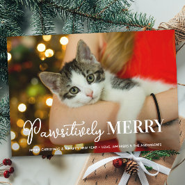 Pawsitive Merry Custom Pet Cat met Kerstmis Feestdagenkaart