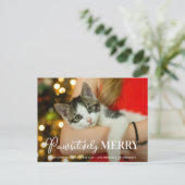 Pawsitive Merry Custom Pet Cat met Kerstmis Feestdagenkaart (Staand voorkant)