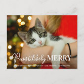 Pawsitive Merry Custom Pet Cat met Kerstmis Feestdagenkaart (Voorkant)