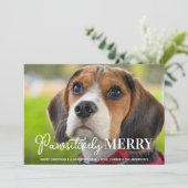 Pawsitive Merry Custom Pet Dog-fotokerst Feestdagenkaart (Staand voorkant)