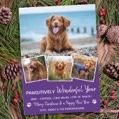 Pawsitive Pet Year voor Review Cute 4 Dog Photo Feestdagenkaart