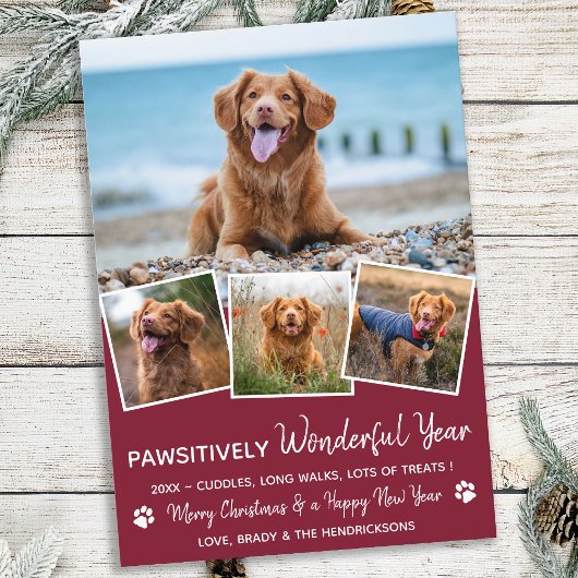 Pawsitive Pet Year voor Review Cute 4 Dog Photo Feestdagenkaart