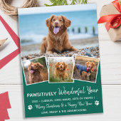 Pawsitive Pet Year voor Review Cute 4 Dog Photo Feestdagenkaart