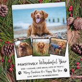 Pawsitive Pet Year voor Review Cute 4 Dog Photo Feestdagenkaart