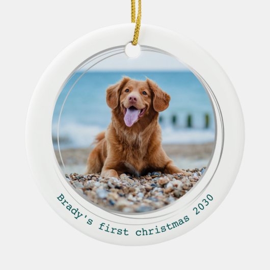 Pawsitively Covid Quarantine Green Dog foto Keramisch Ornament (Voorkant)