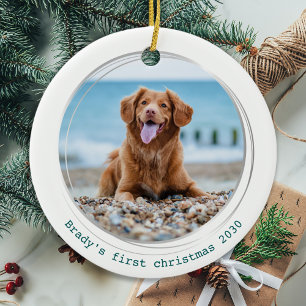 Pawsitively Covid Quarantine Green Dog foto Keramisch Ornament