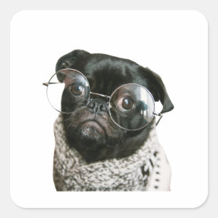 Pawsitively Hilarious: Doggone Funny Moments Vierkante Sticker