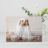 Pawsitively Spooky Halloween Pet Foto Feestdagenkaart (Staand voorkant)