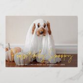 Pawsitively Spooky Halloween Pet Foto Folie Feestdagenkaart (Voorkant)