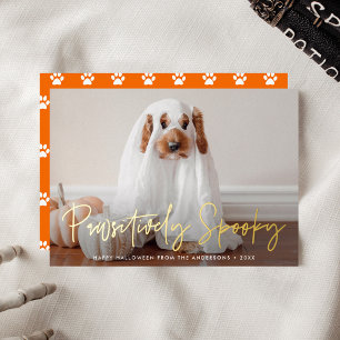 Pawsitively Spooky Halloween Pet Foto Folie Feestdagenkaart