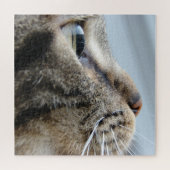 Pawsome Cat Profile Close-up foto, 676 stuks Legpuzzel (Horizontaal)