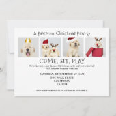 Pawsome Dog Pawty 5-fotokaart Kaart (Achterkant)