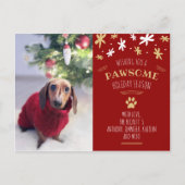Pawsome Holiday Season Pet Holiday Photo Aankondigingskaart (Voorkant)