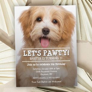 Pawty Pet Foto Birthday Party Briefkaart