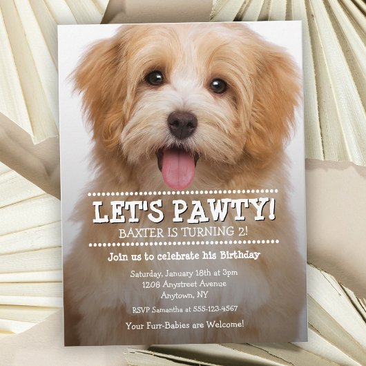 Pawty Pet Foto Birthday Party Briefkaart