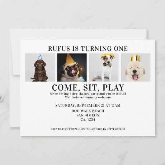 Pawty Time Dog Thed Birthday 5-fotokaart Kaart (Achterkant)