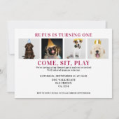 Pawty Time Dog Thed Birthday 5-fotokaart Kaart (Achterkant)