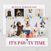 Pawty Time Dog Thed Birthday 5-fotokaart Kaart (Voorkant / Achterkant)