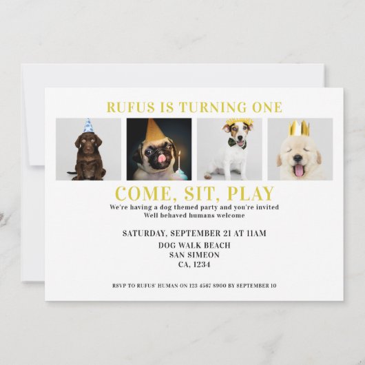 Pawty Time Dog Thed Birthday 5-fotokaart Kaart (Achterkant)