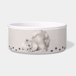 "Pawyer Bowl"? Kitten🐾✨ Voerbakje