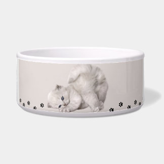 "Pawyer Bowl"? Kitten🐾✨ Voerbakje