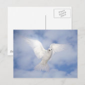 Pax Briefkaart (Voorkant / Achterkant)