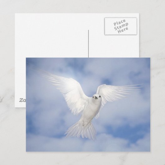 Pax Briefkaart (Voorkant / Achterkant)