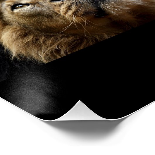 Pax Christos, Leeuw met Jesaja 11:6-9 Perfect Poster (Hoek)