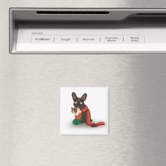 Pax & Huey Christmas Stocking Magneet (Insitu (Vaatwasser))