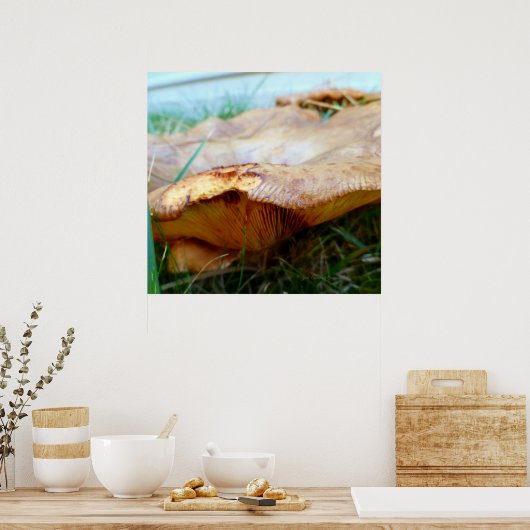 Paxillus involutus poster (Keuken)