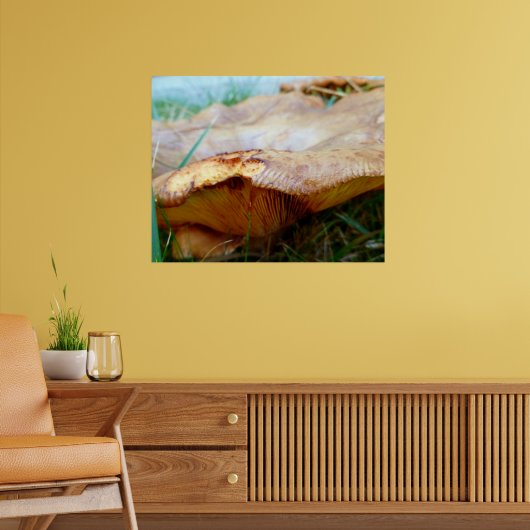 Paxillus involutus poster (Woonkamer 2)