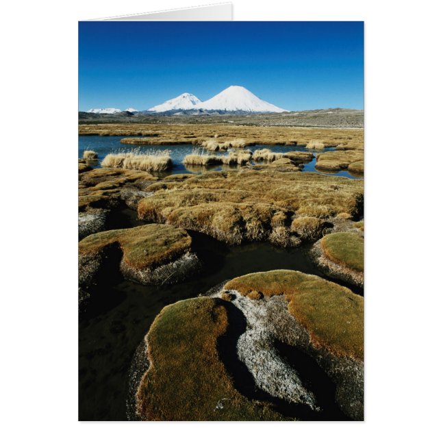 Payachalas Volcanos (Voorkant)